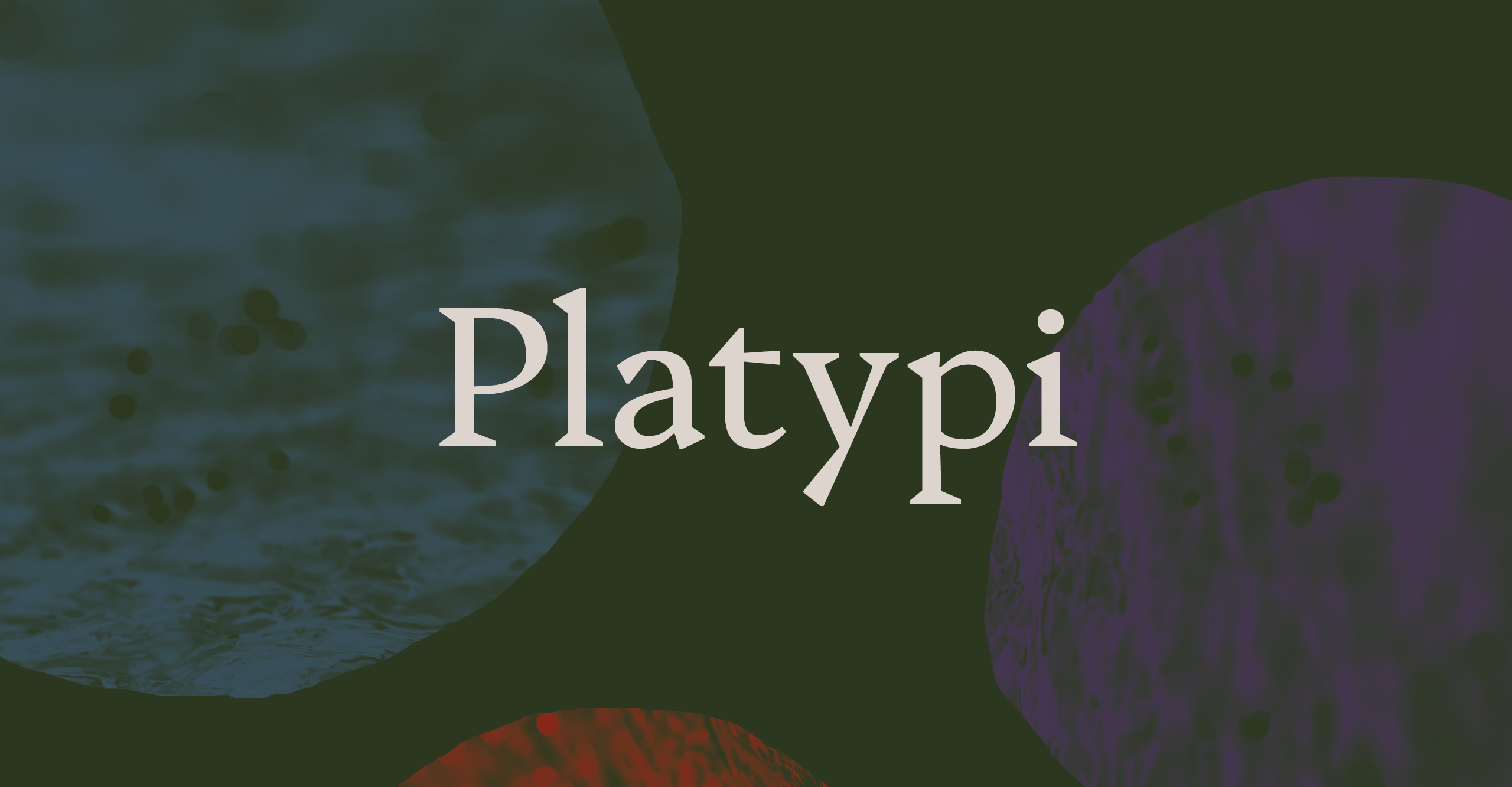 Title image for Platypi